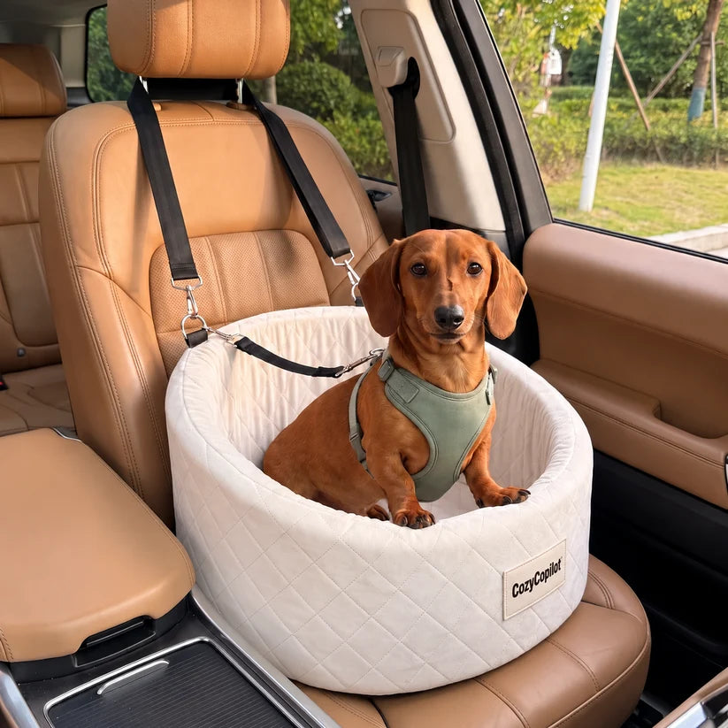 Dachshund riding in a Cozy Copilot seat